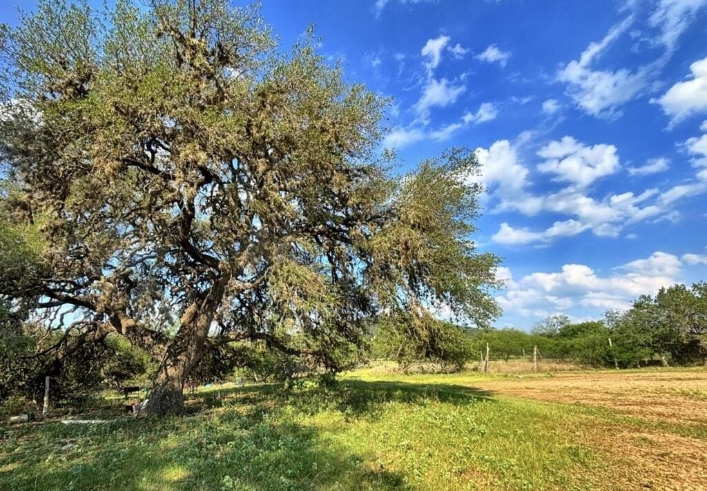 130 acres in Edwards County - photo 7
