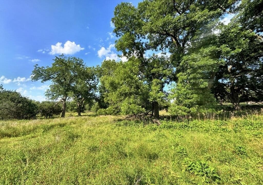 130 acres in Edwards County - photo 3