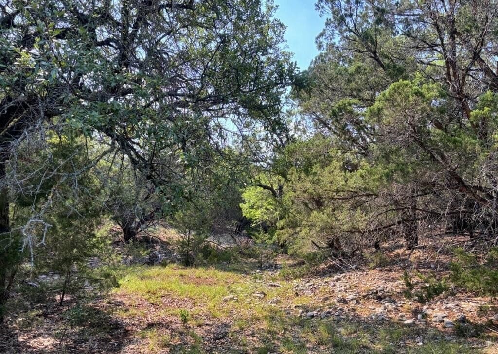 130 acres in Edwards County - photo 19