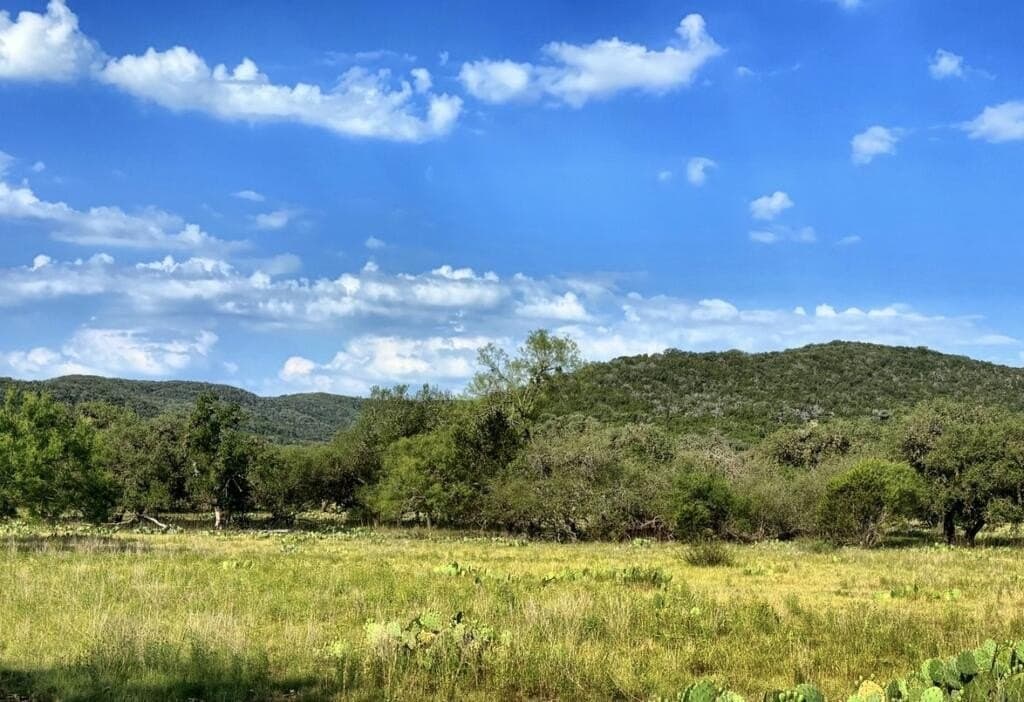 130 acres in Edwards County - photo 11