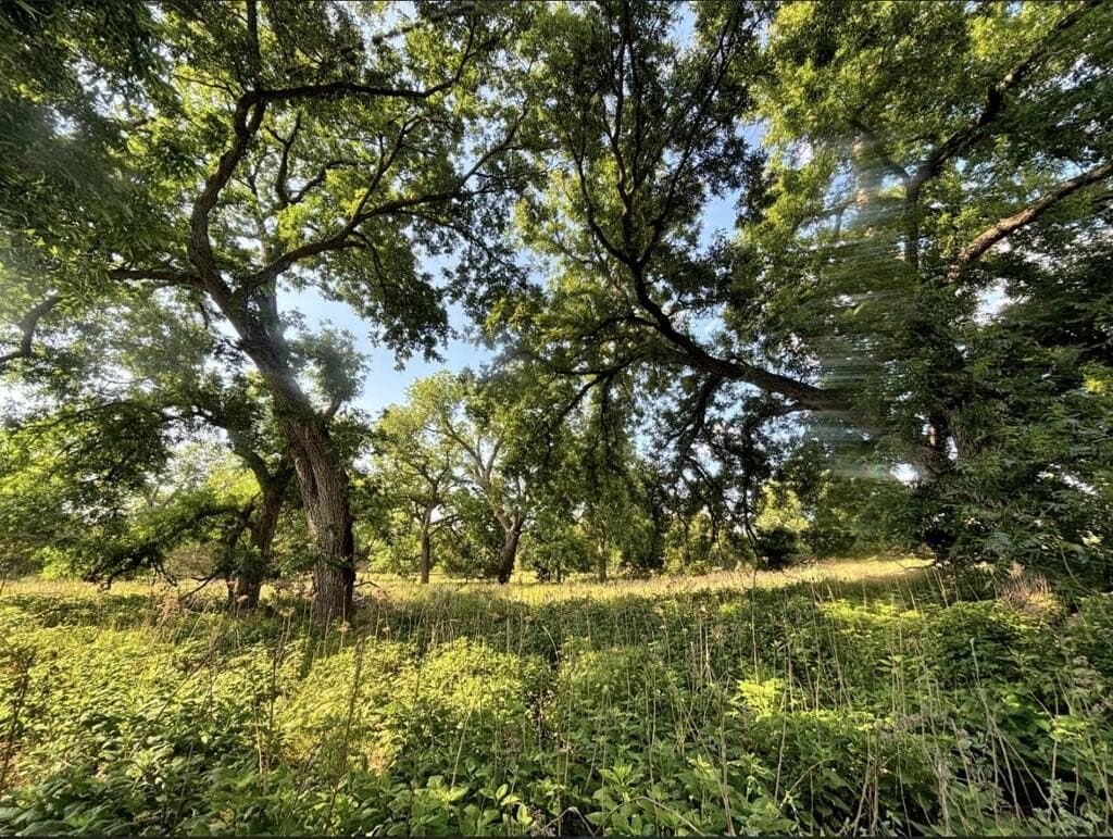 130 acres in Edwards County - photo 5