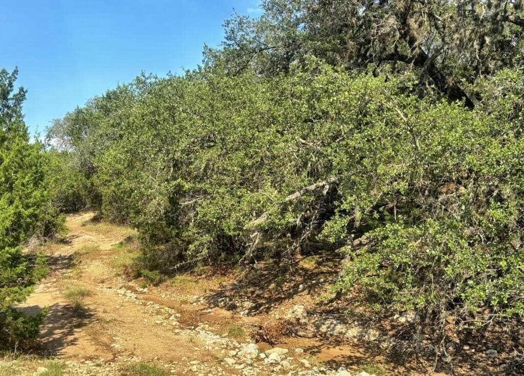 130 acres in Edwards County - photo 29