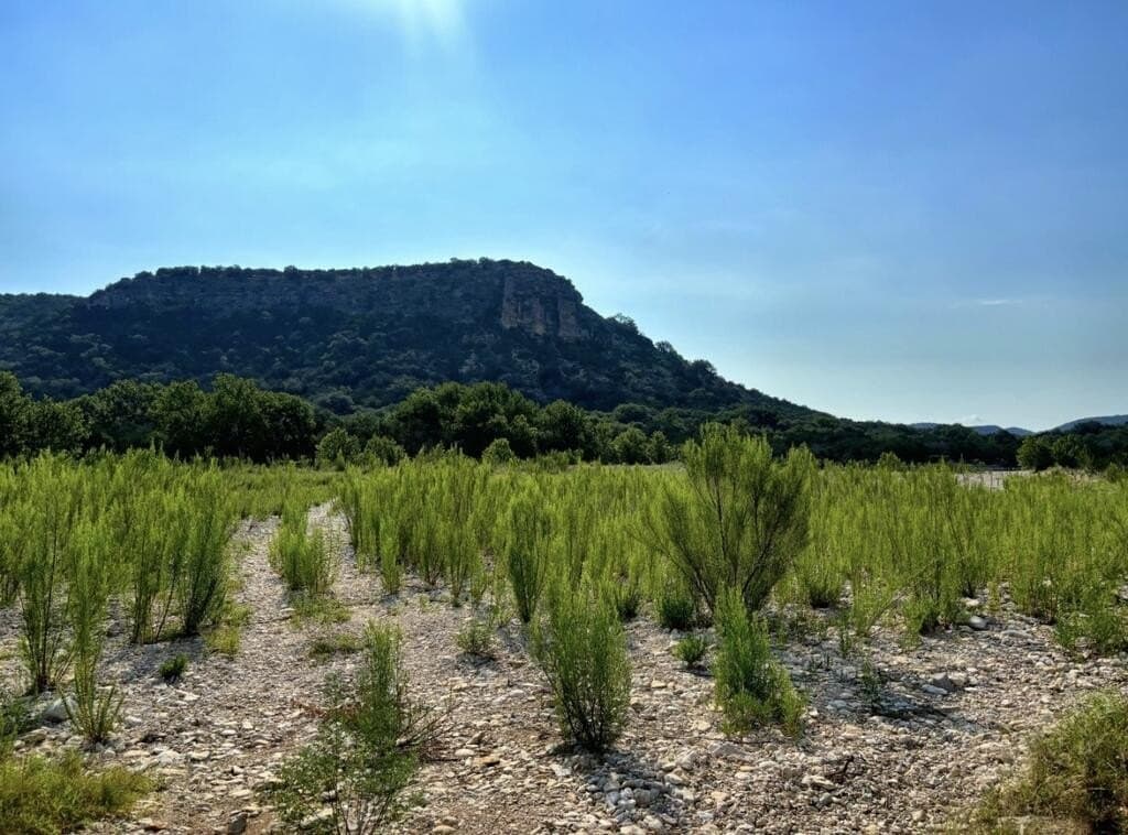 130 acres in Edwards County - photo 31