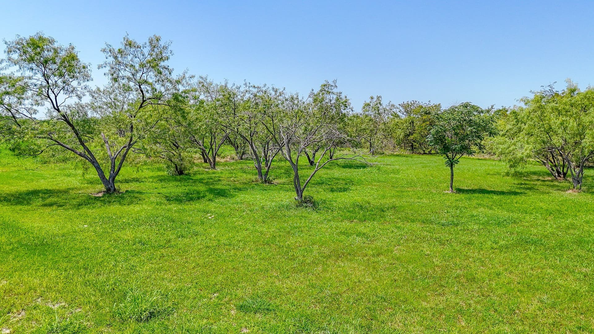 1.05 acres in Navarro County - photo 6