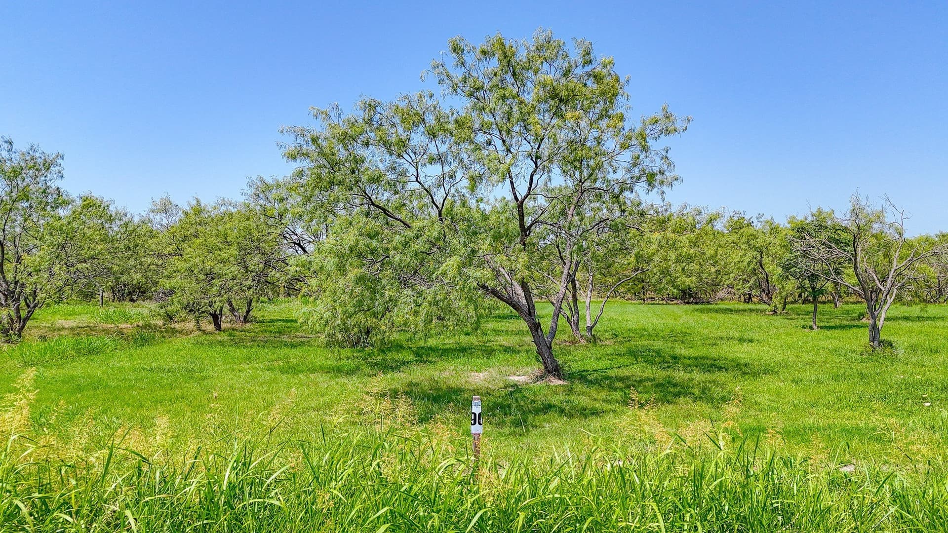 1.05 acres in Navarro County - photo 39