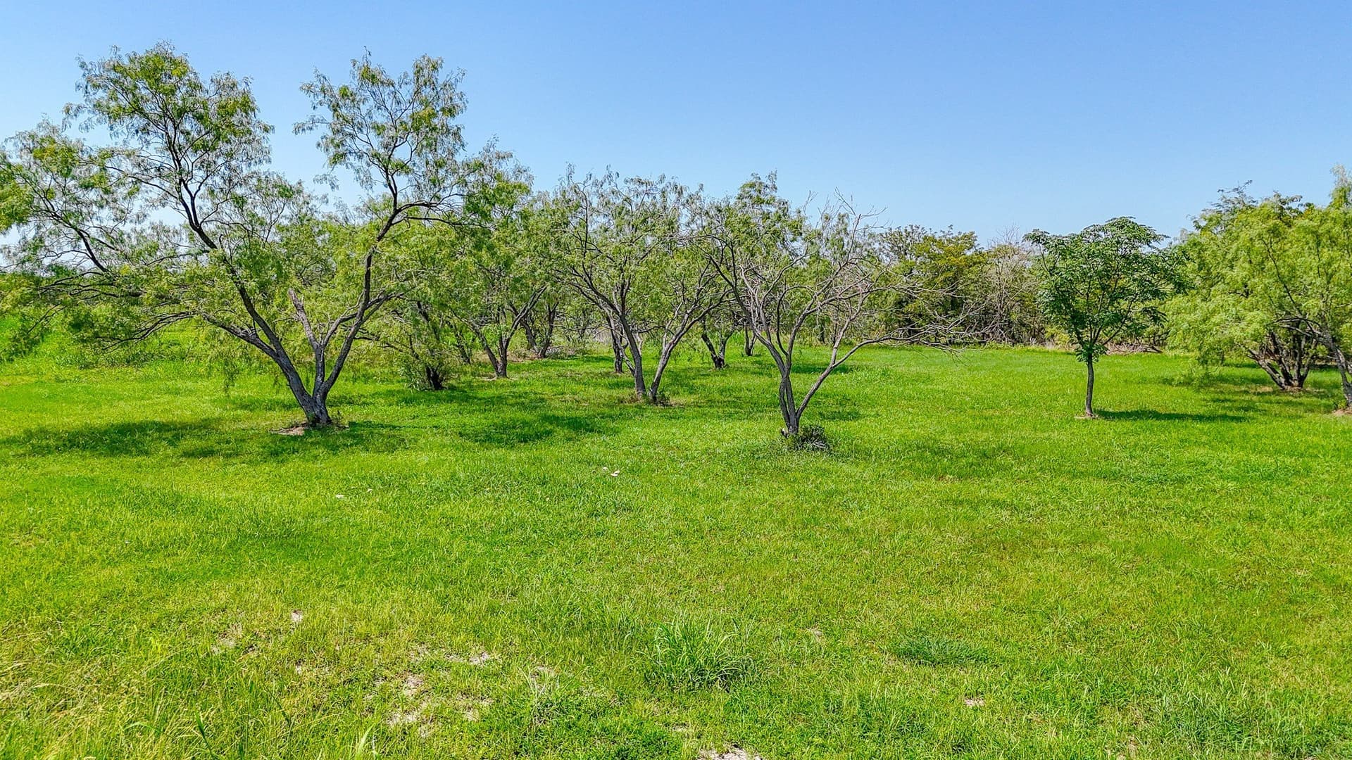1.05 acres in Navarro County - photo 40