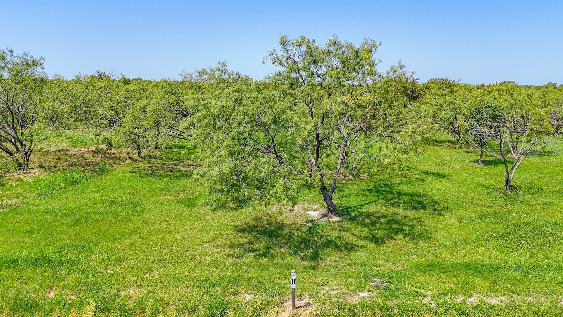 1.05 acres in Navarro County - photo 37
