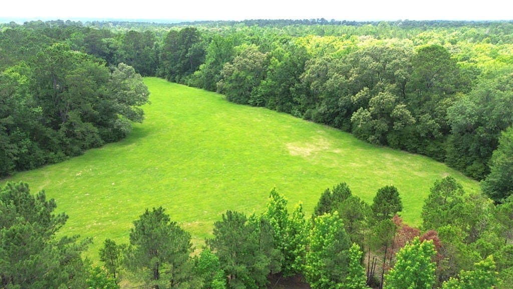 26.41 acres in Texas County featured view
