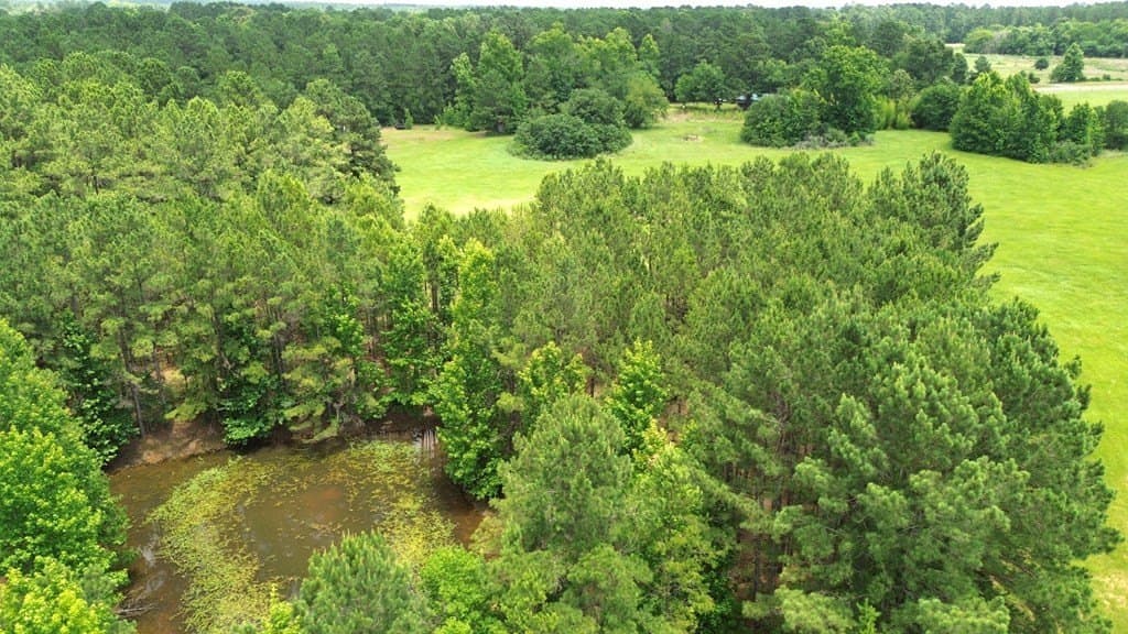26.41 acres in Texas County gallery image 2
