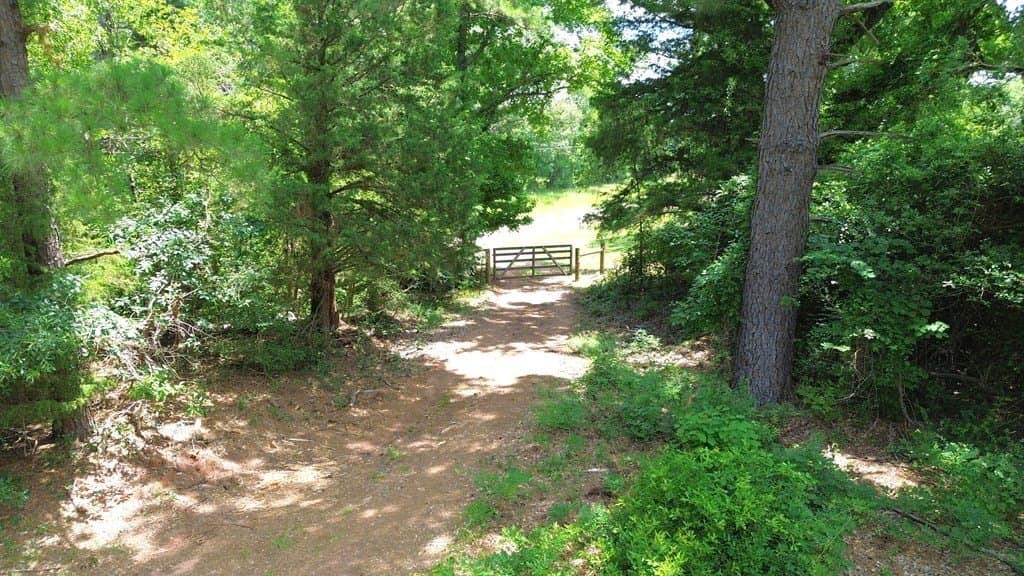 26.41 acres in Texas County gallery image 4