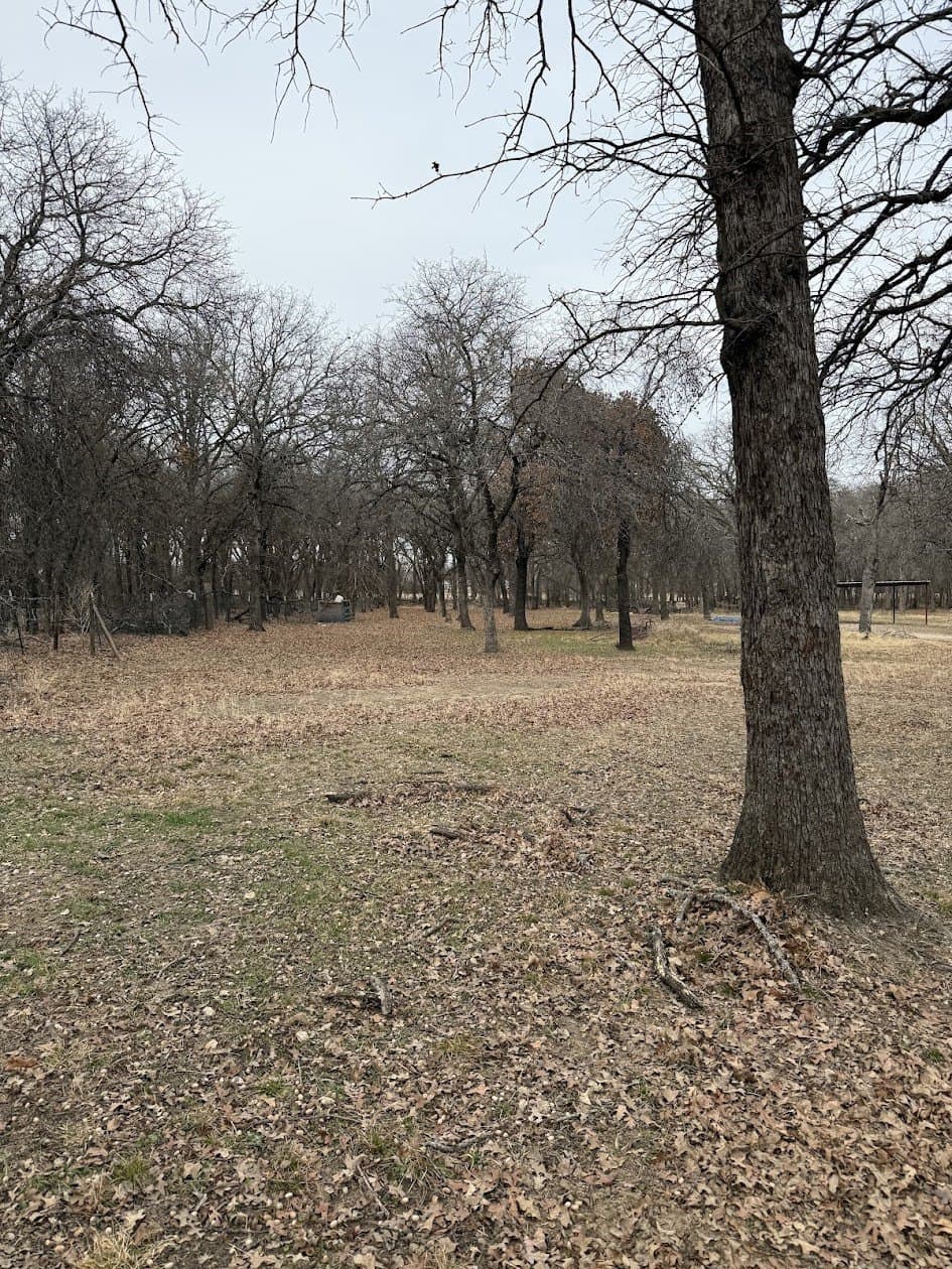 1 acres in Tarrant County gallery image 2