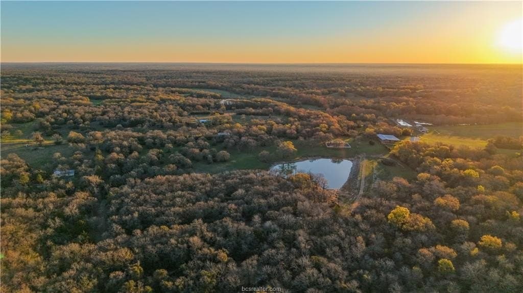 60.73 acres in Robertson County - photo 10