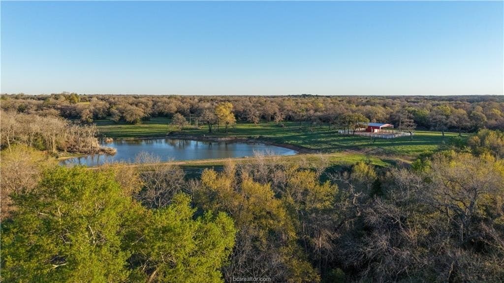 60.73 acres in Robertson County - photo 21