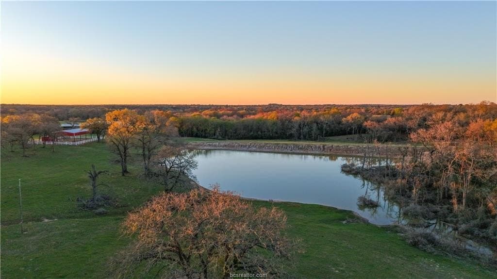 60.73 acres in Robertson County gallery image 4