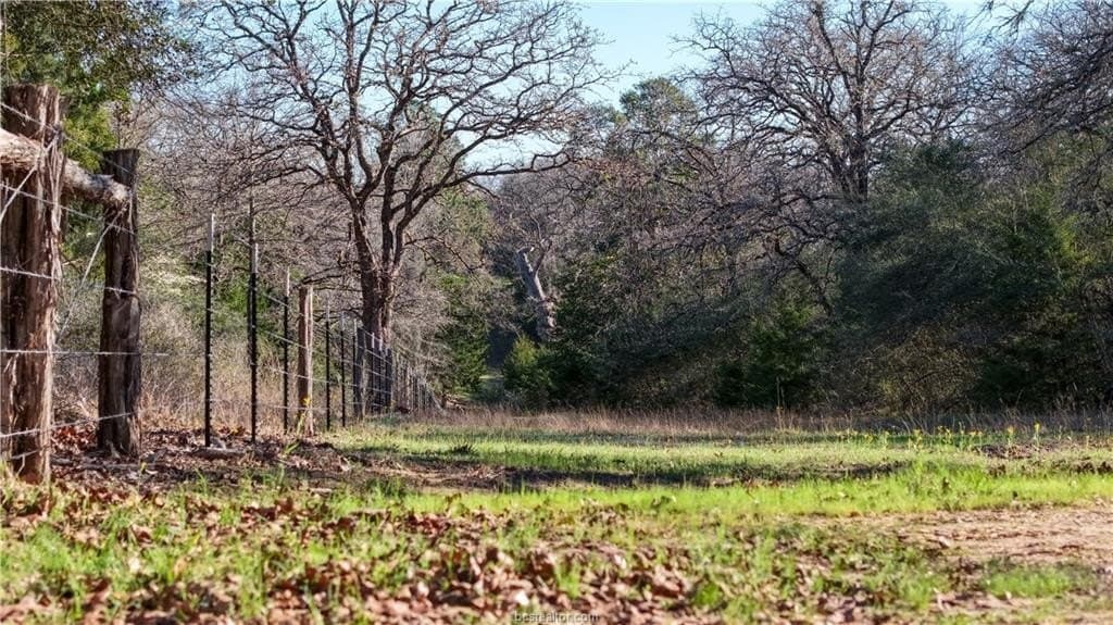 60.73 acres in Robertson County - photo 40