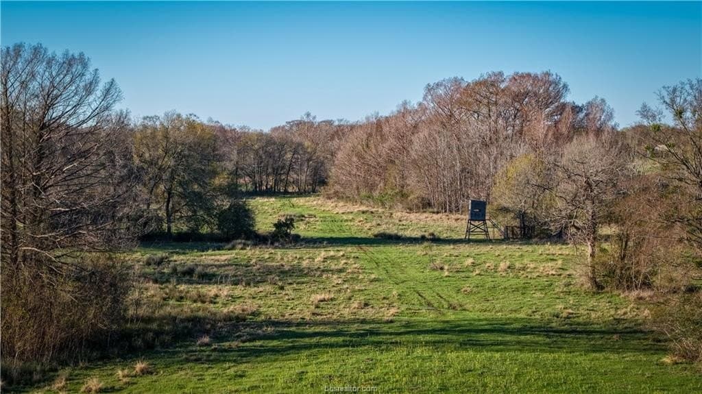 60.73 acres in Robertson County - photo 30