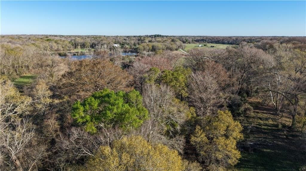60.73 acres in Robertson County - photo 36