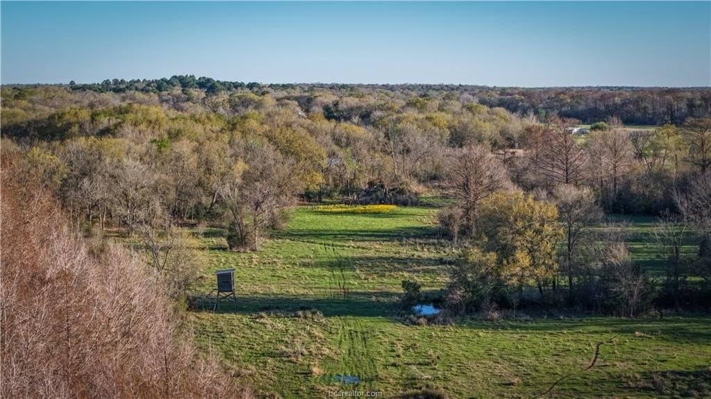 60.73 acres in Robertson County - photo 7