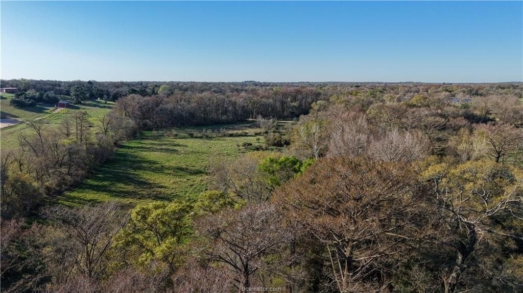 60.73 acres in Robertson County - photo 37