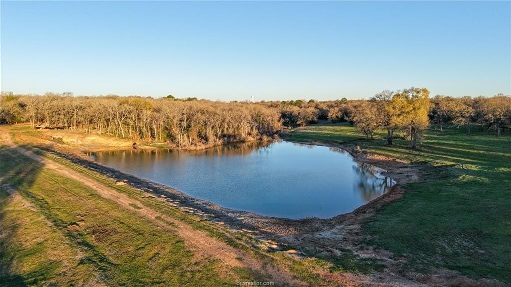 60.73 acres in Robertson County - photo 17