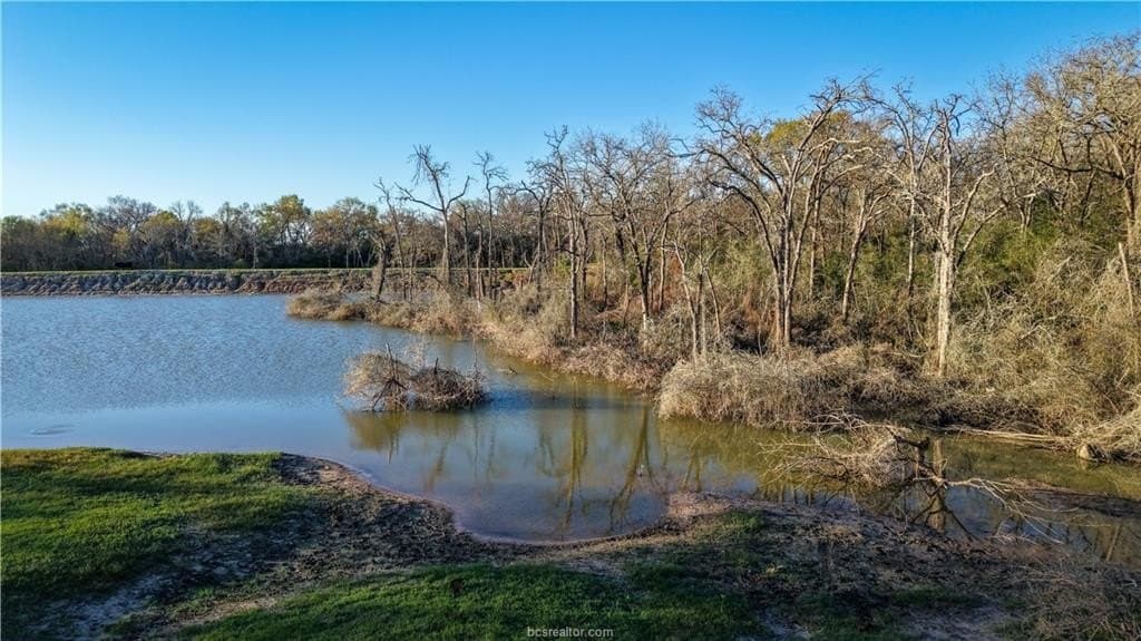 60.73 acres in Robertson County - photo 25