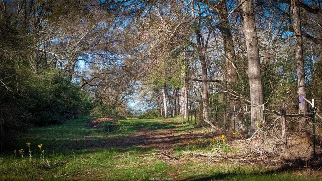 60.73 acres in Robertson County - photo 14