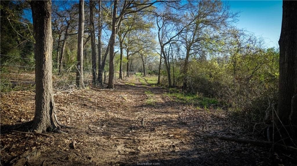 60.73 acres in Robertson County - photo 38