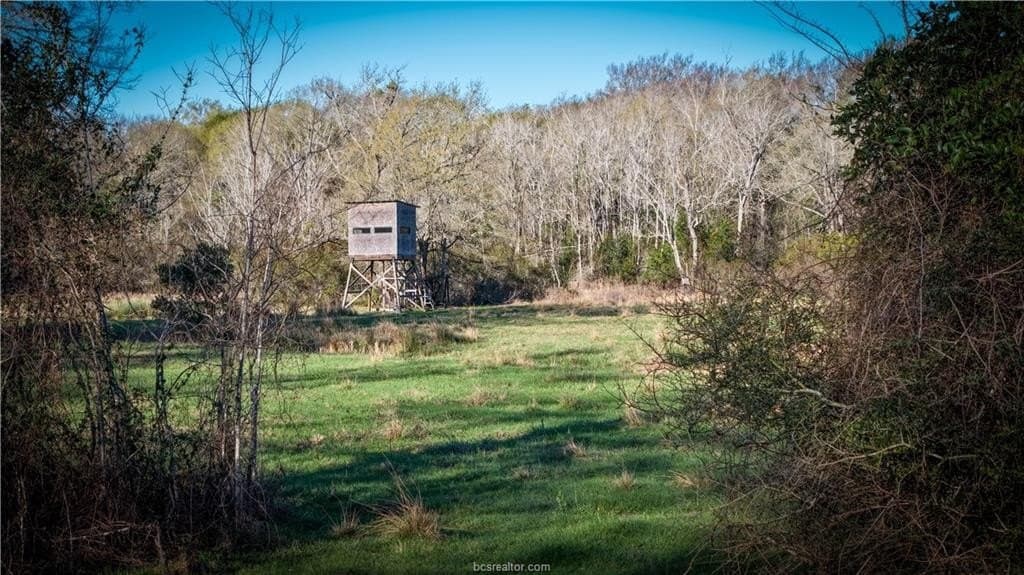 60.73 acres in Robertson County - photo 11