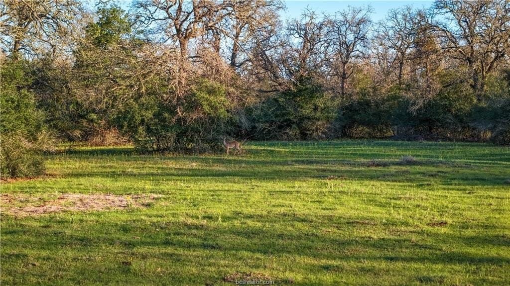 60.73 acres in Robertson County - photo 22