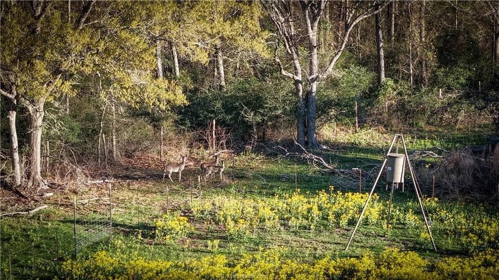 60.73 acres in Robertson County - photo 8