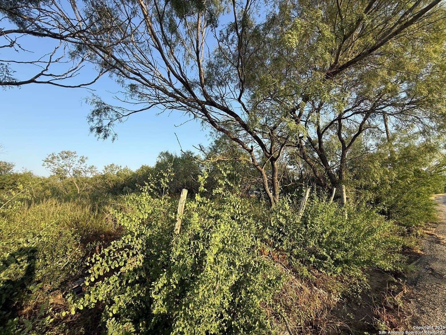 0.93 acres in Bexar County - photo 3