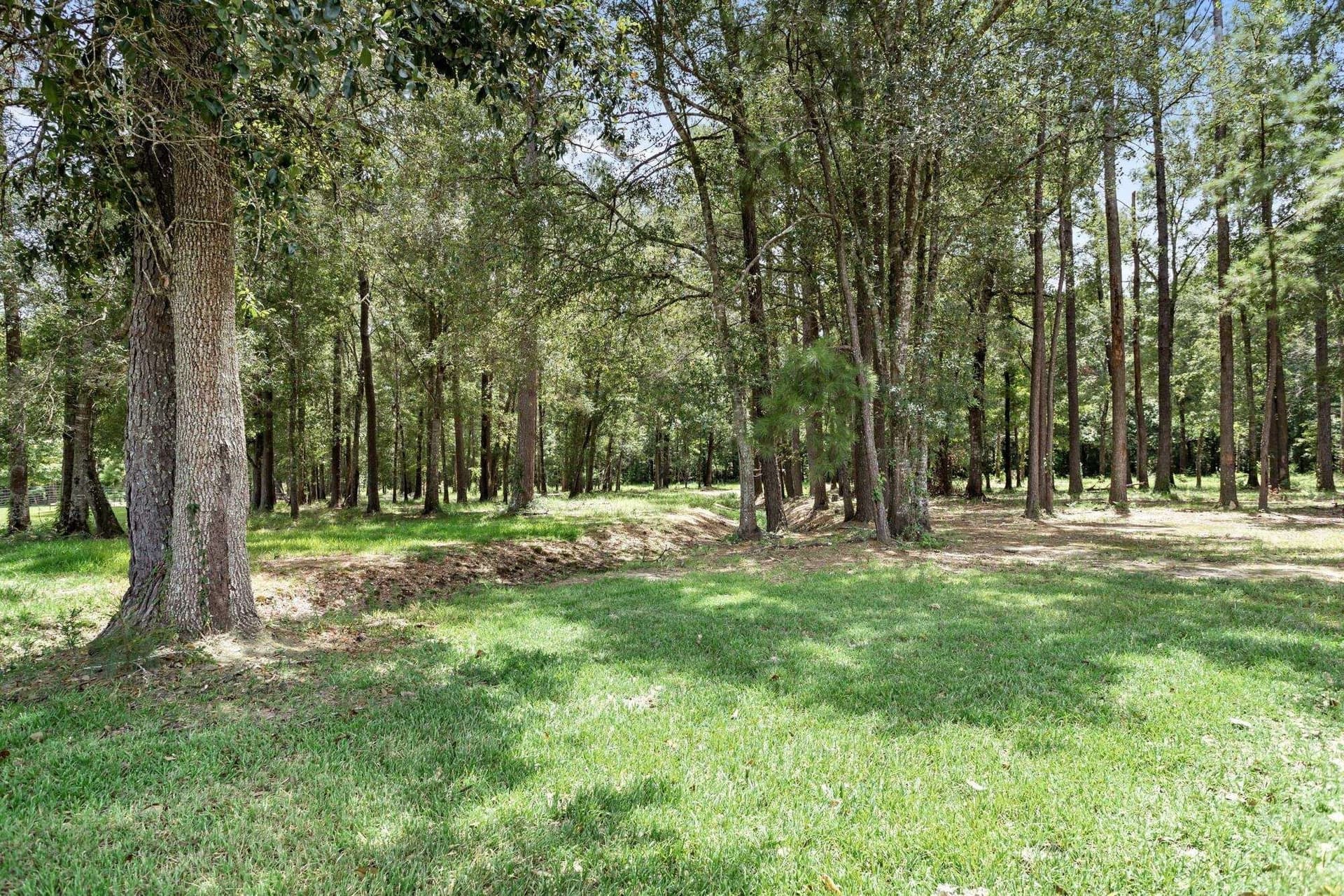 20.17 acres in Texas County - photo 33