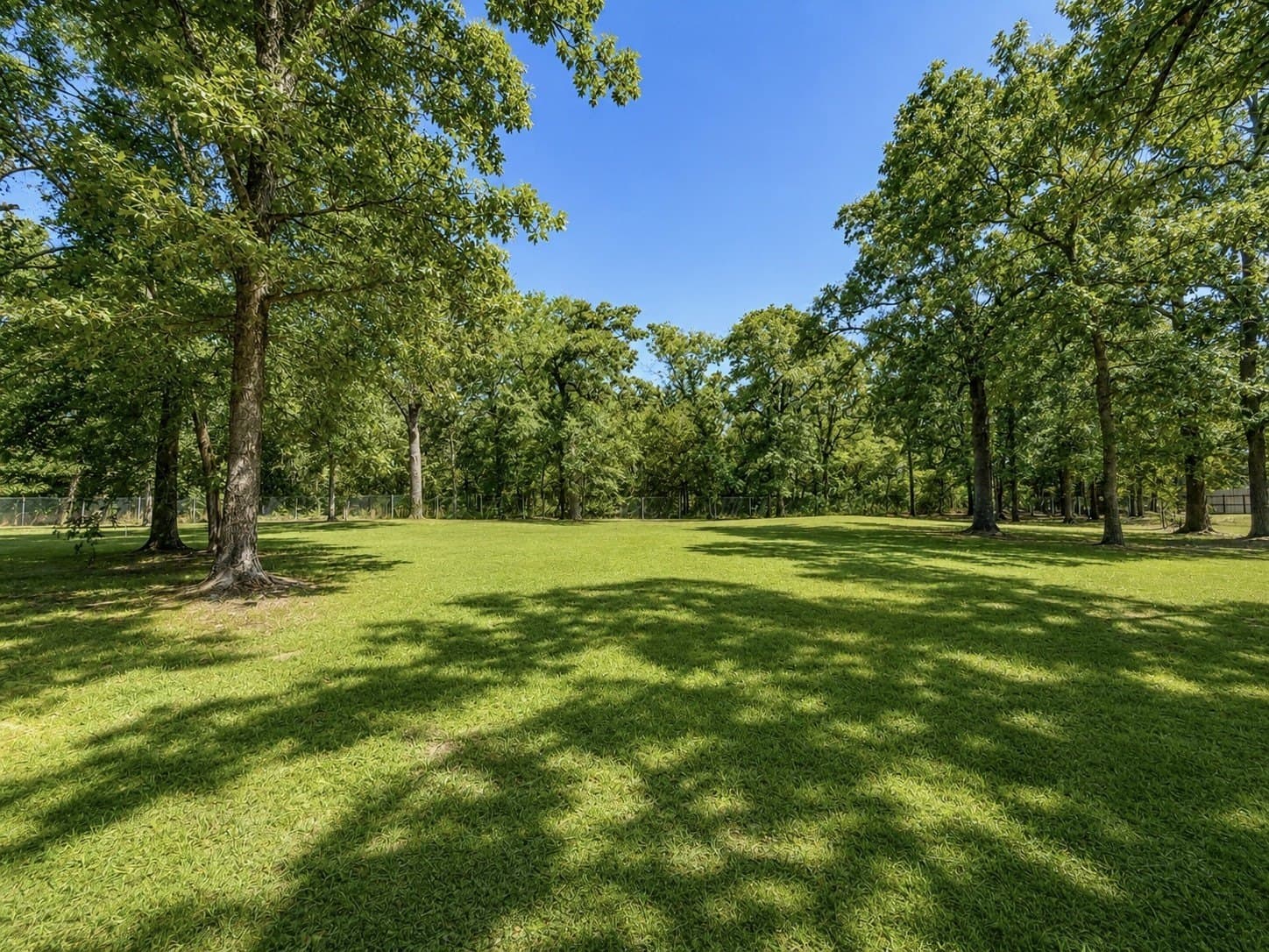 10.03 acres in Van Zandt County - photo 11