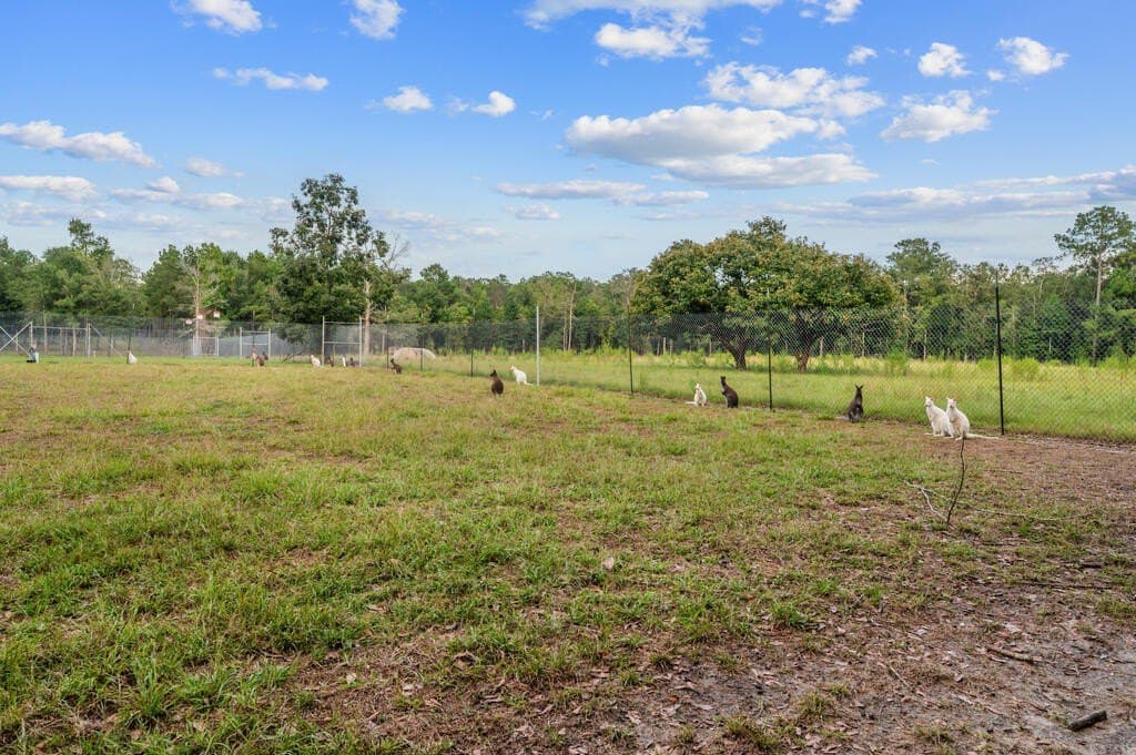 52.19 acres in Texas County - photo 40