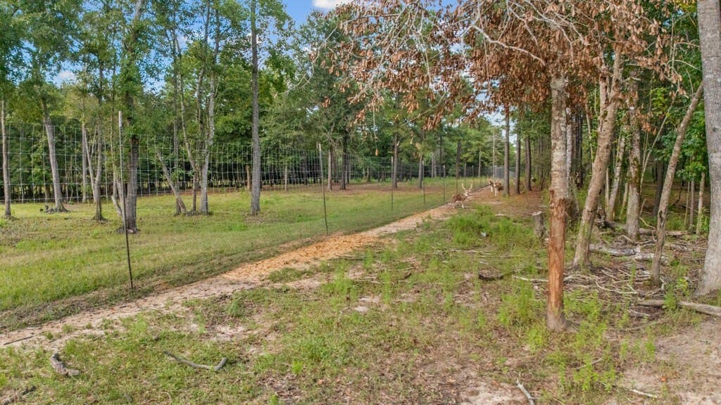 52.19 acres in Texas County - photo 44