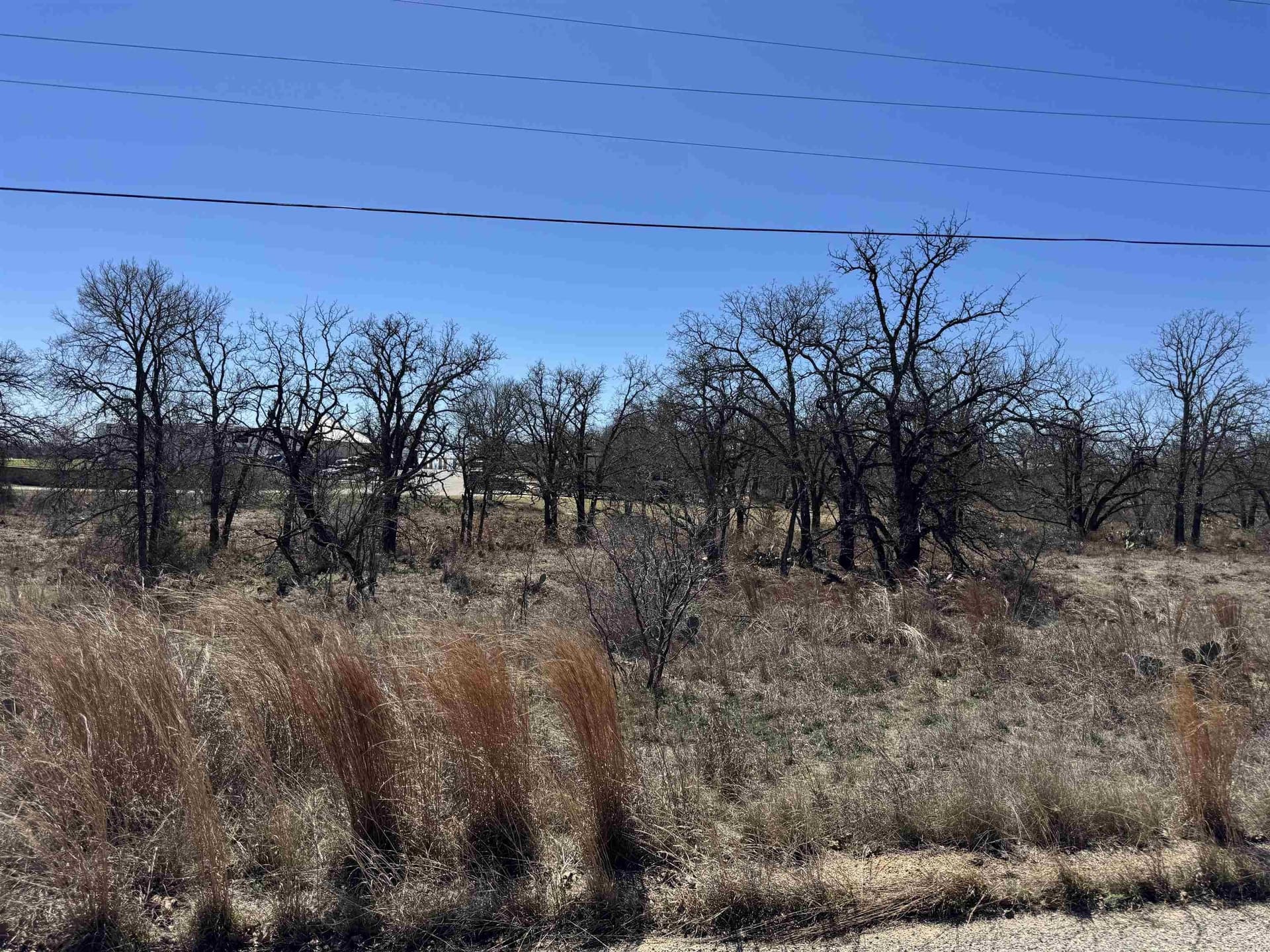 0.36 acres in Llano County gallery image 4