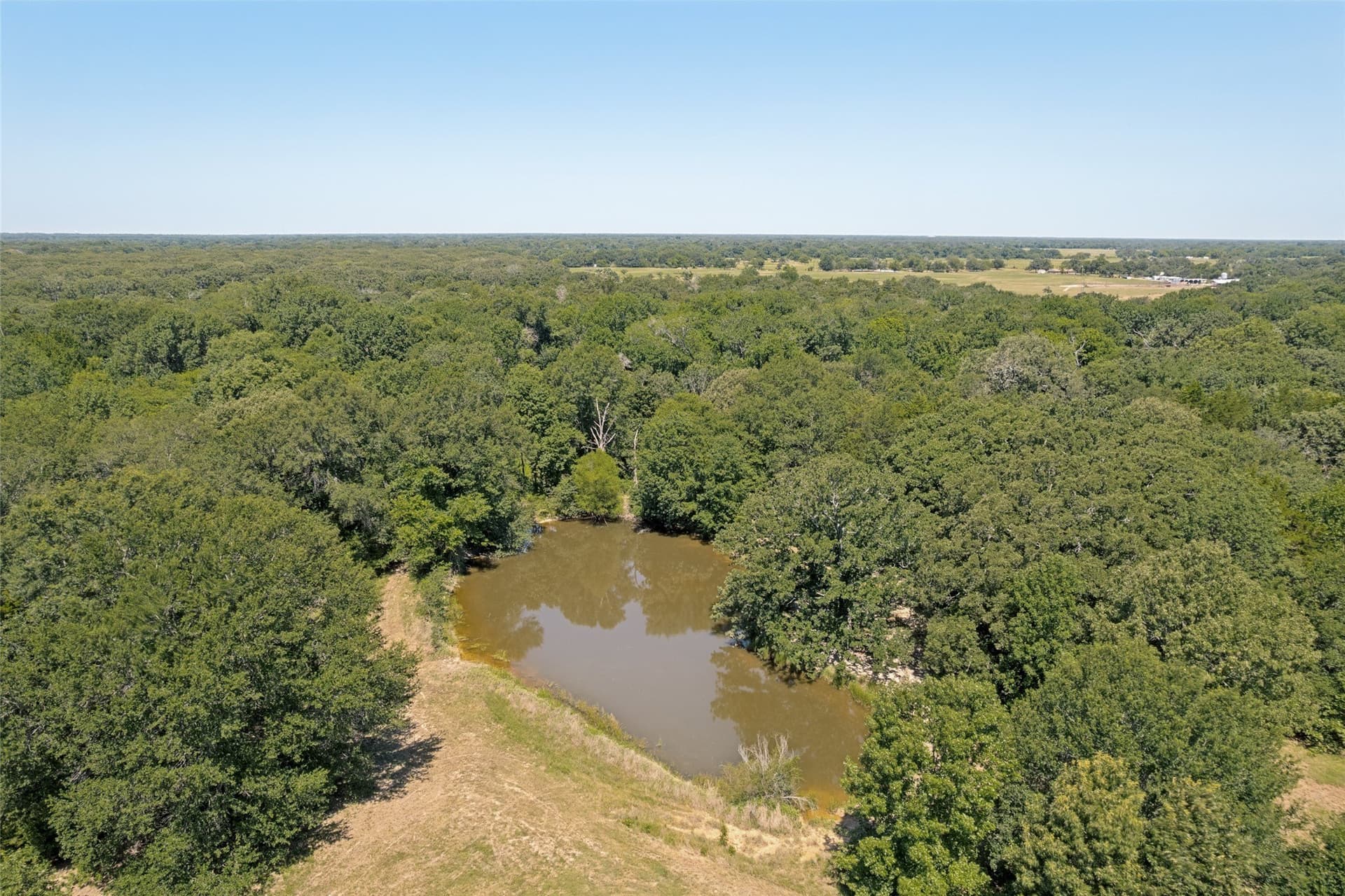 13.88 acres in Rains County featured view