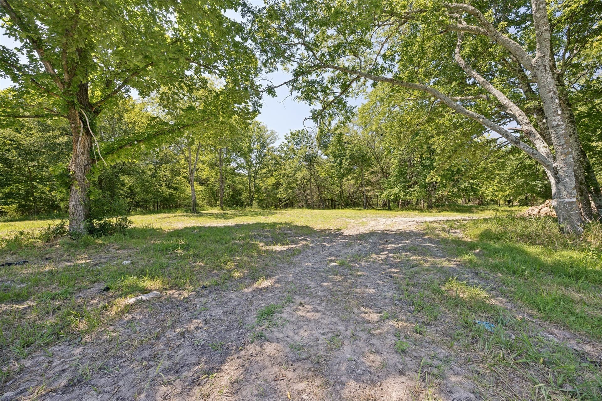 13.88 acres in Rains County - photo 8