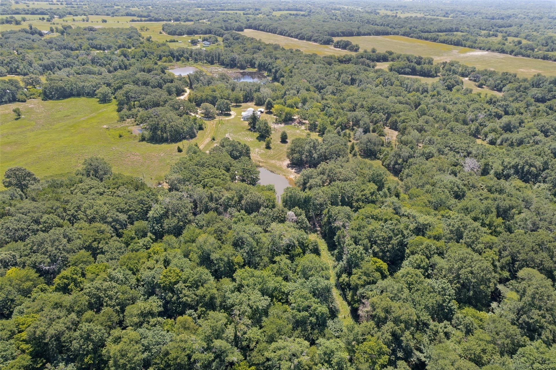 13.88 acres in Rains County - photo 7
