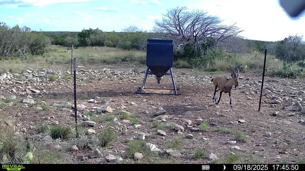 106.4 acres in Val Verde County