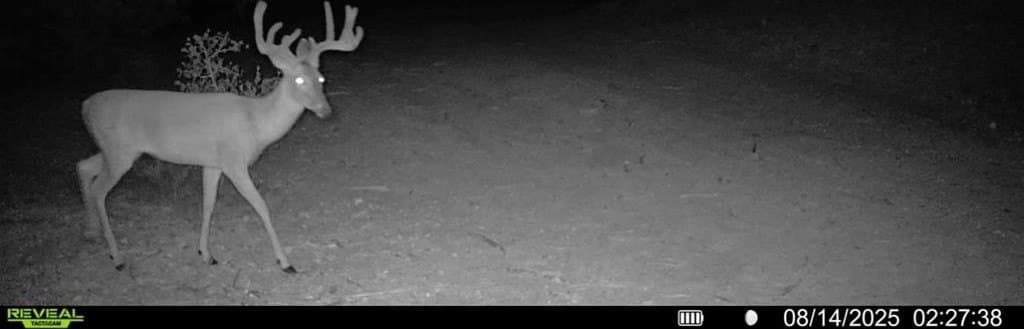 106.4 acres in Val Verde County gallery image 2