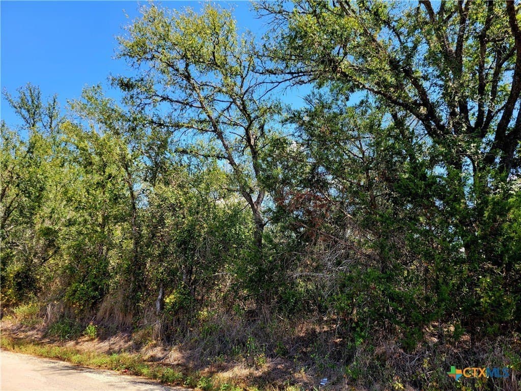 13.96 acres in Caldwell County gallery image 3