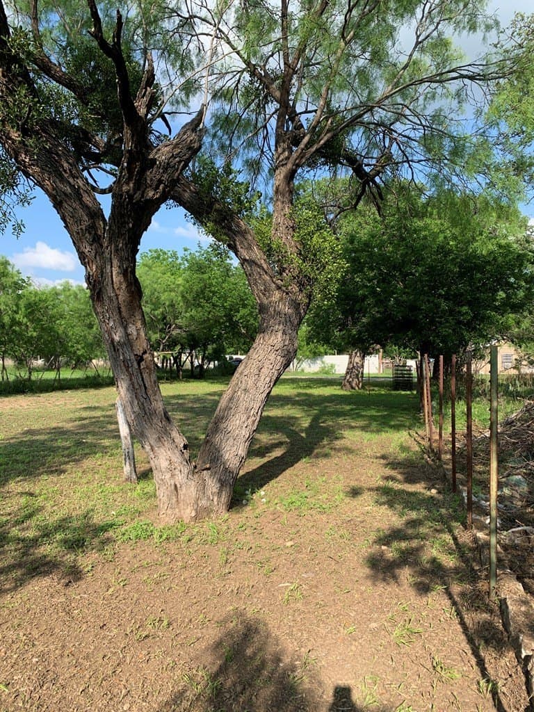 0.16 acres in McCulloch County - photo 14