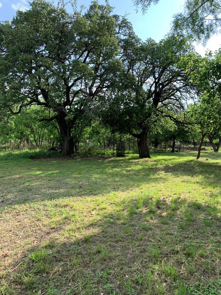 0.16 acres in McCulloch County - photo 9