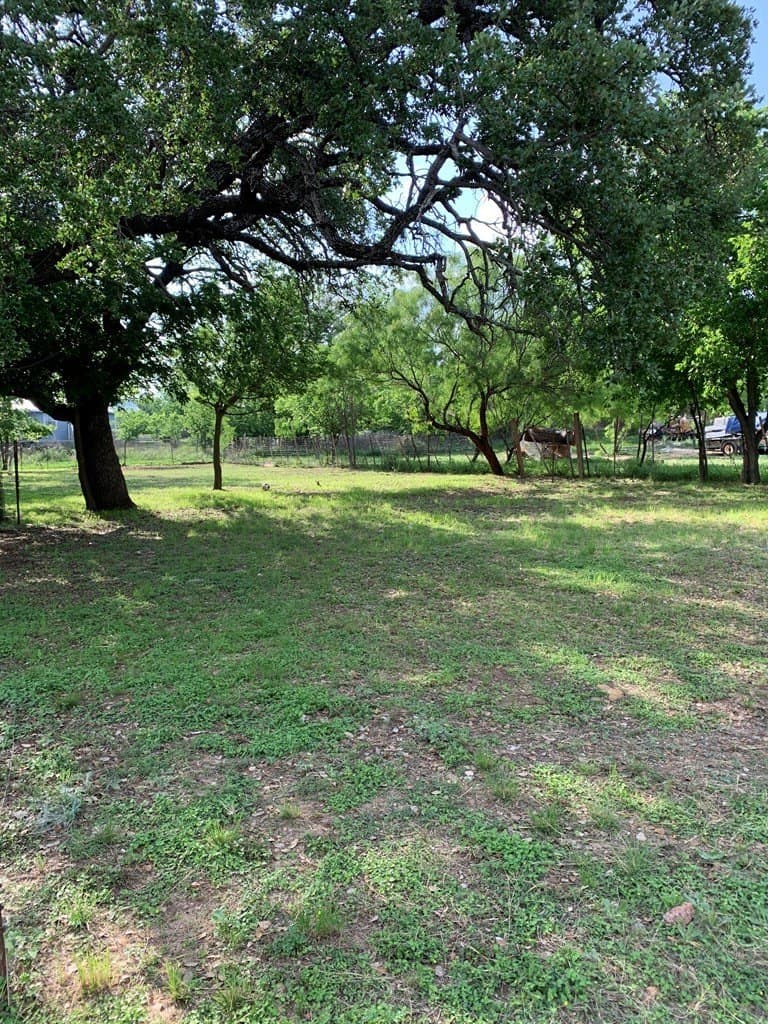 0.16 acres in McCulloch County - photo 12