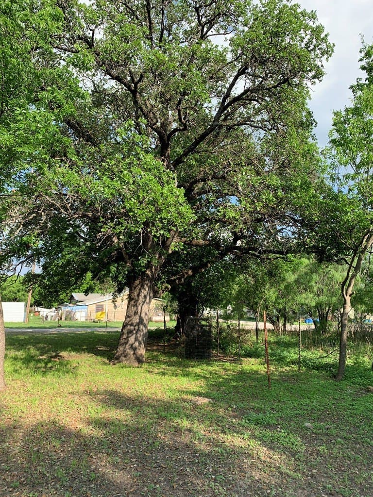 0.16 acres in McCulloch County - photo 16