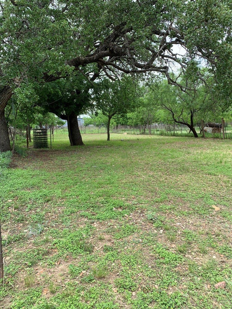 0.16 acres in McCulloch County - photo 7