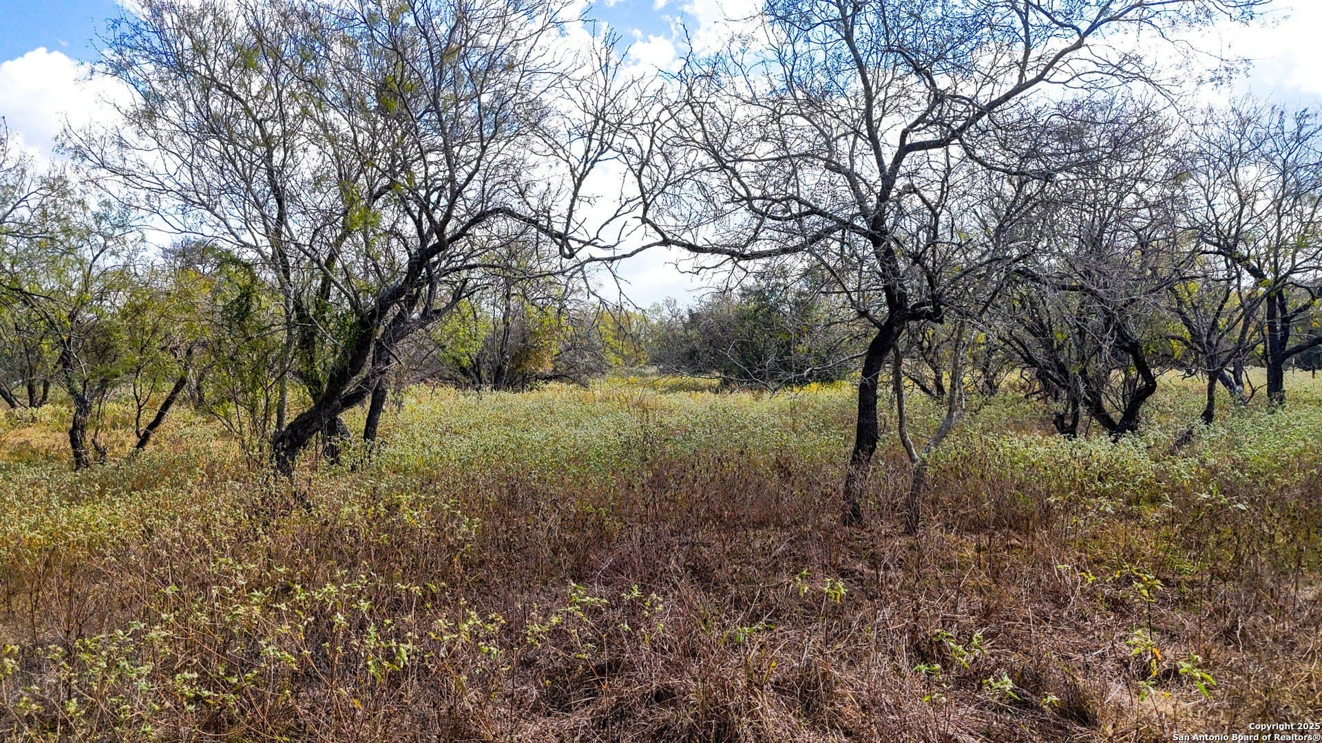 10.57 acres in Guadalupe County - photo 38