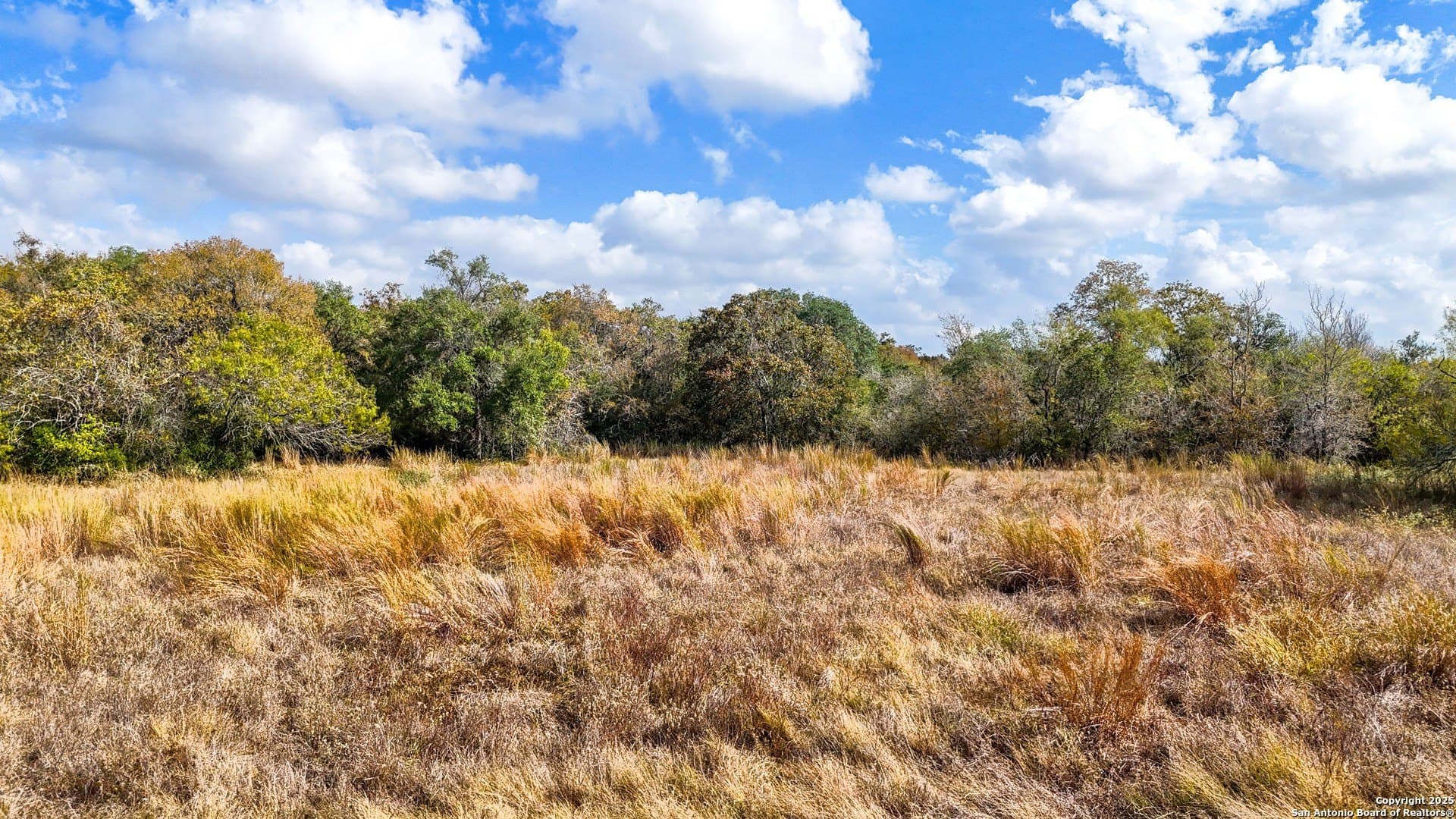 10.57 acres in Guadalupe County - photo 40
