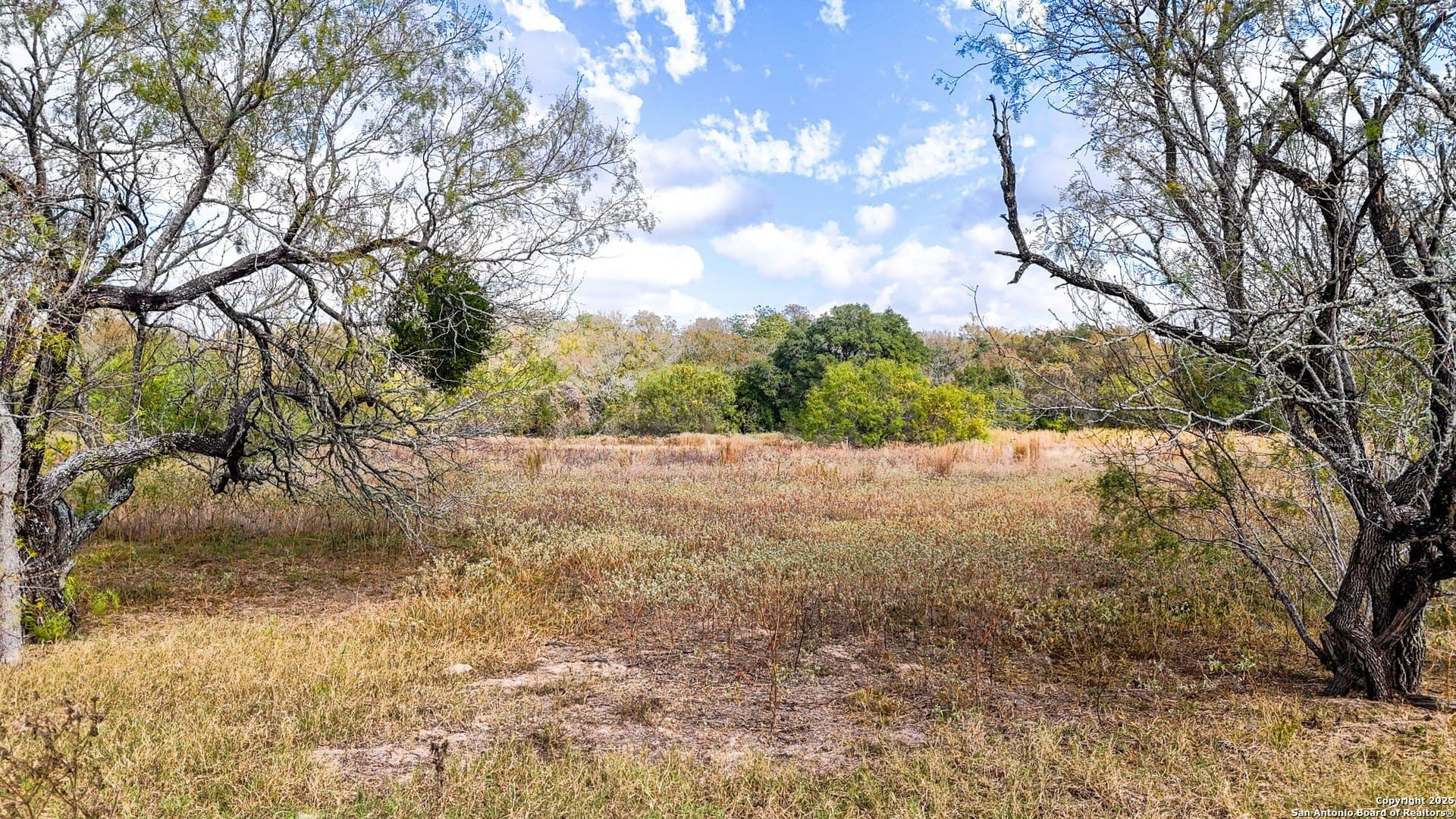 10.57 acres in Guadalupe County - photo 39